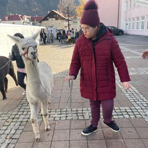 Lama2