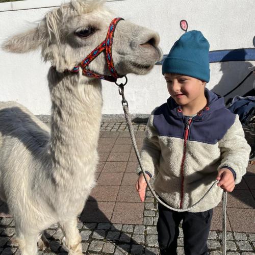 Lama10