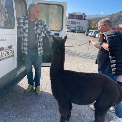 Lama5