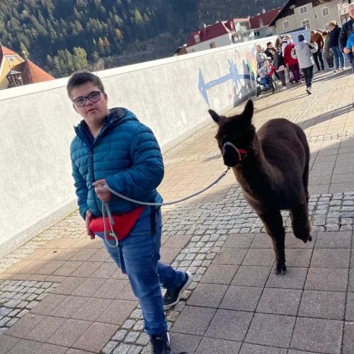 Lama6