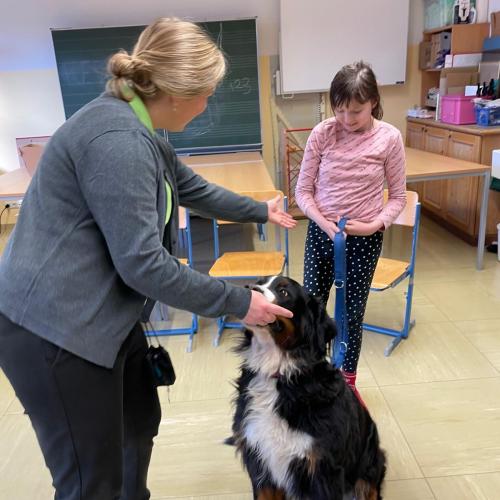 hund18