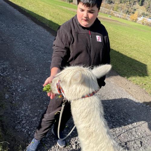 Lama25